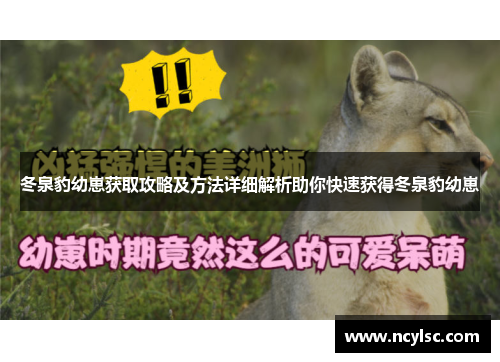 冬泉豹幼崽获取攻略及方法详细解析助你快速获得冬泉豹幼崽